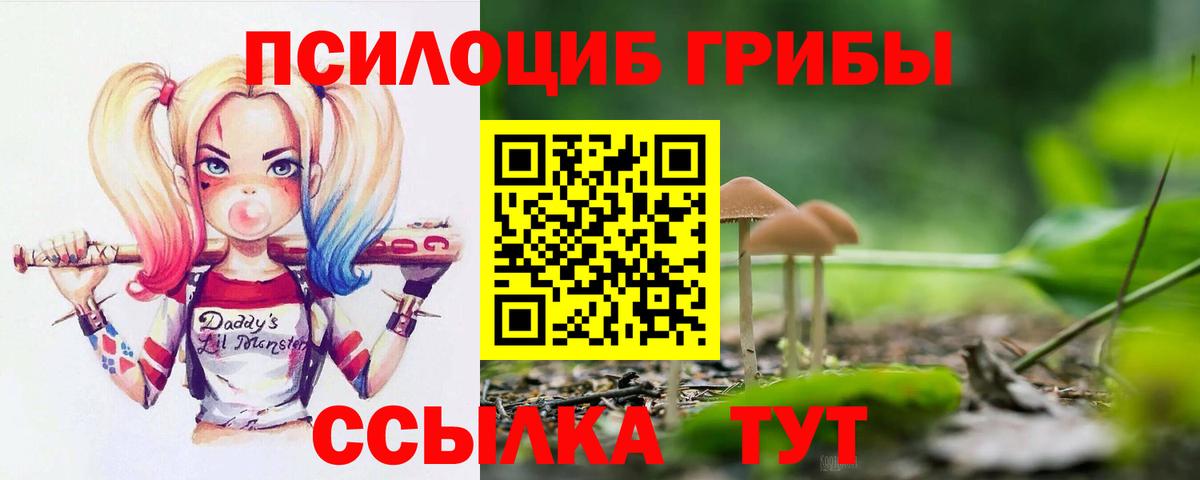 Галлюциногенные грибы мицелий Ликино-Дулёво
